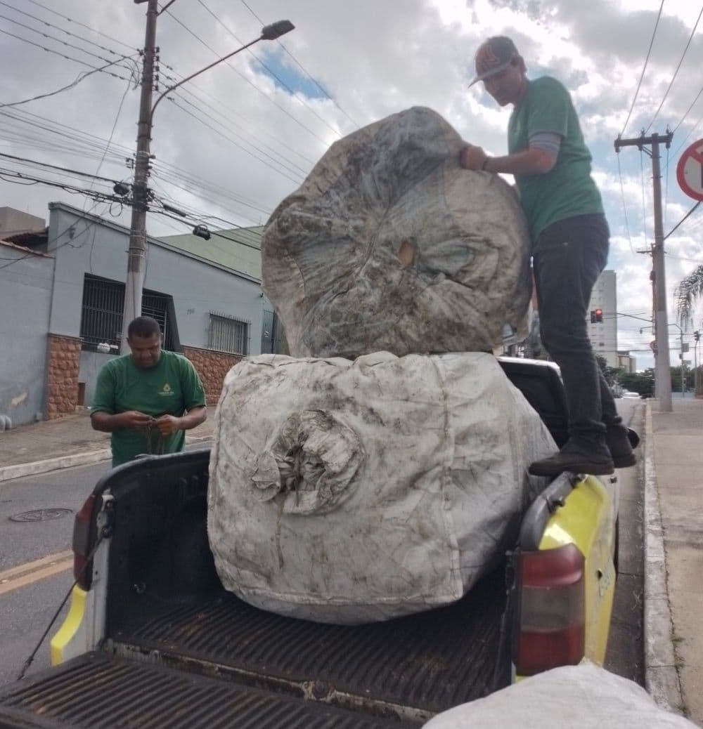 20260302_153156 - Copia.jpg