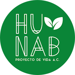 Logo HUNAB