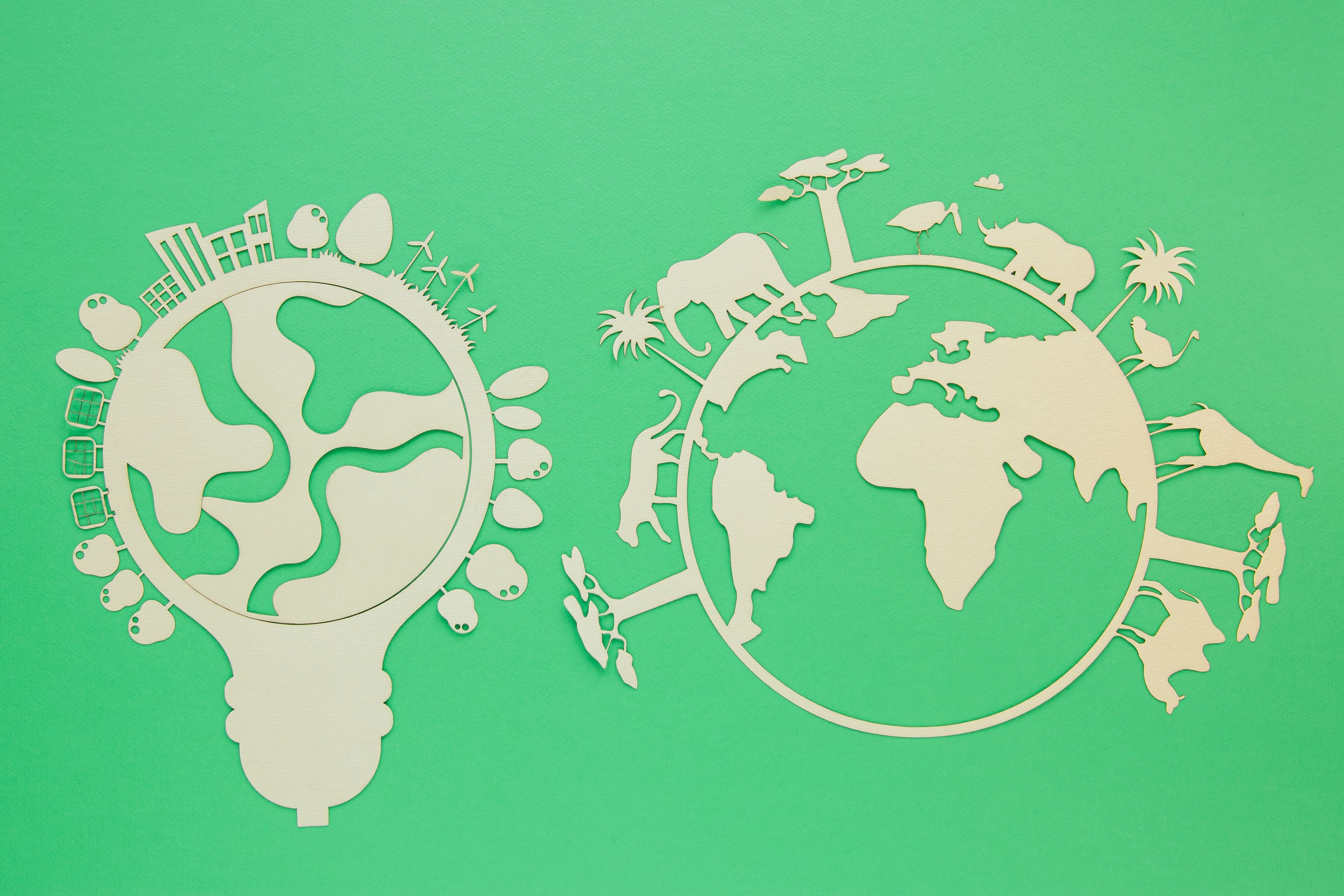 https://storage.googleapis.com/movimento_circular/strapi-v4/flat_lay_world_environment_day_wooden_objects_231da69d21/flat_lay_world_environment_day_wooden_objects_231da69d21.jpg