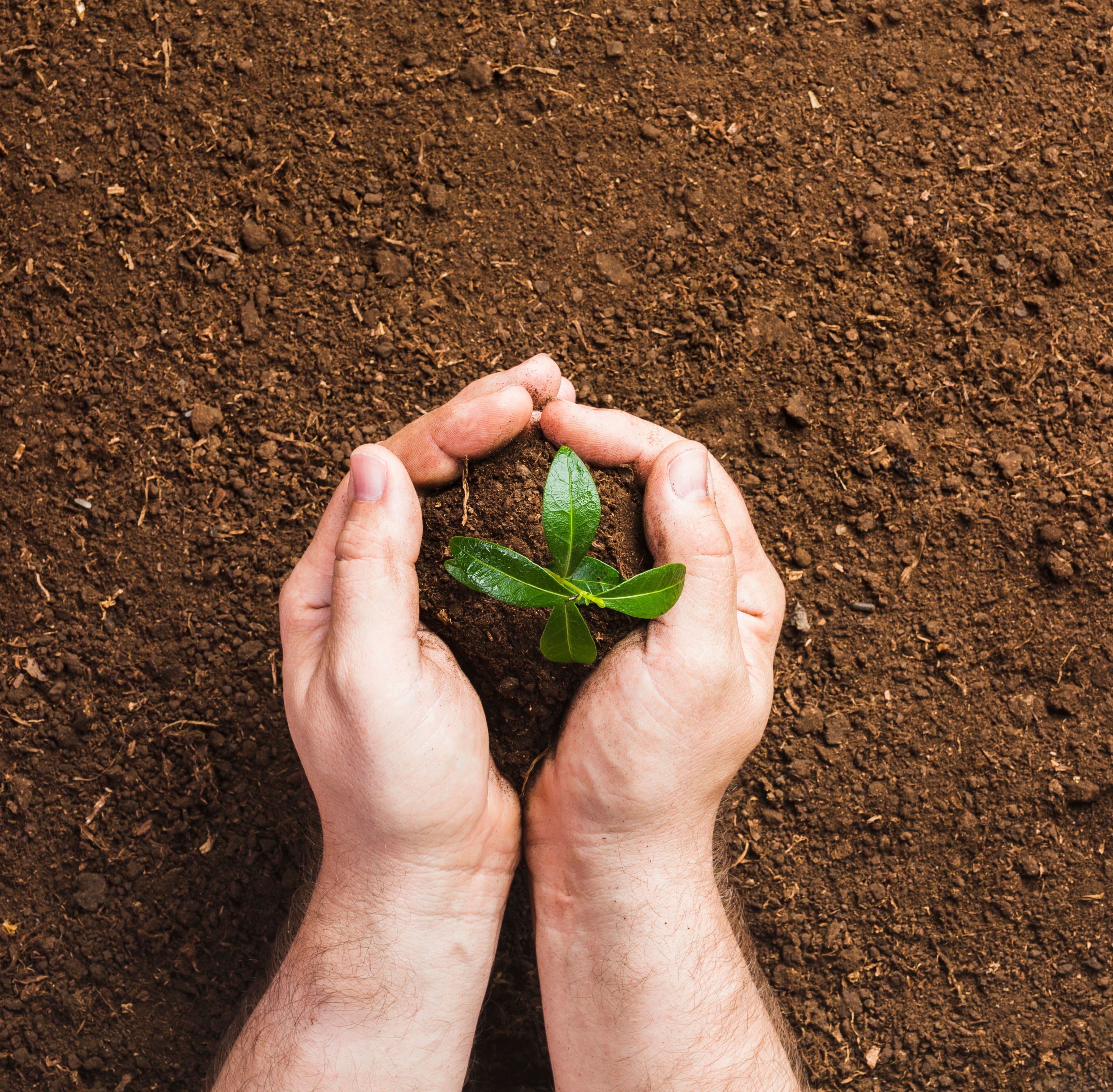 https://storage.googleapis.com/movimento_circular/strapi-v4/gardener_planting_ground_74ca3926a7/gardener_planting_ground_74ca3926a7.jpg