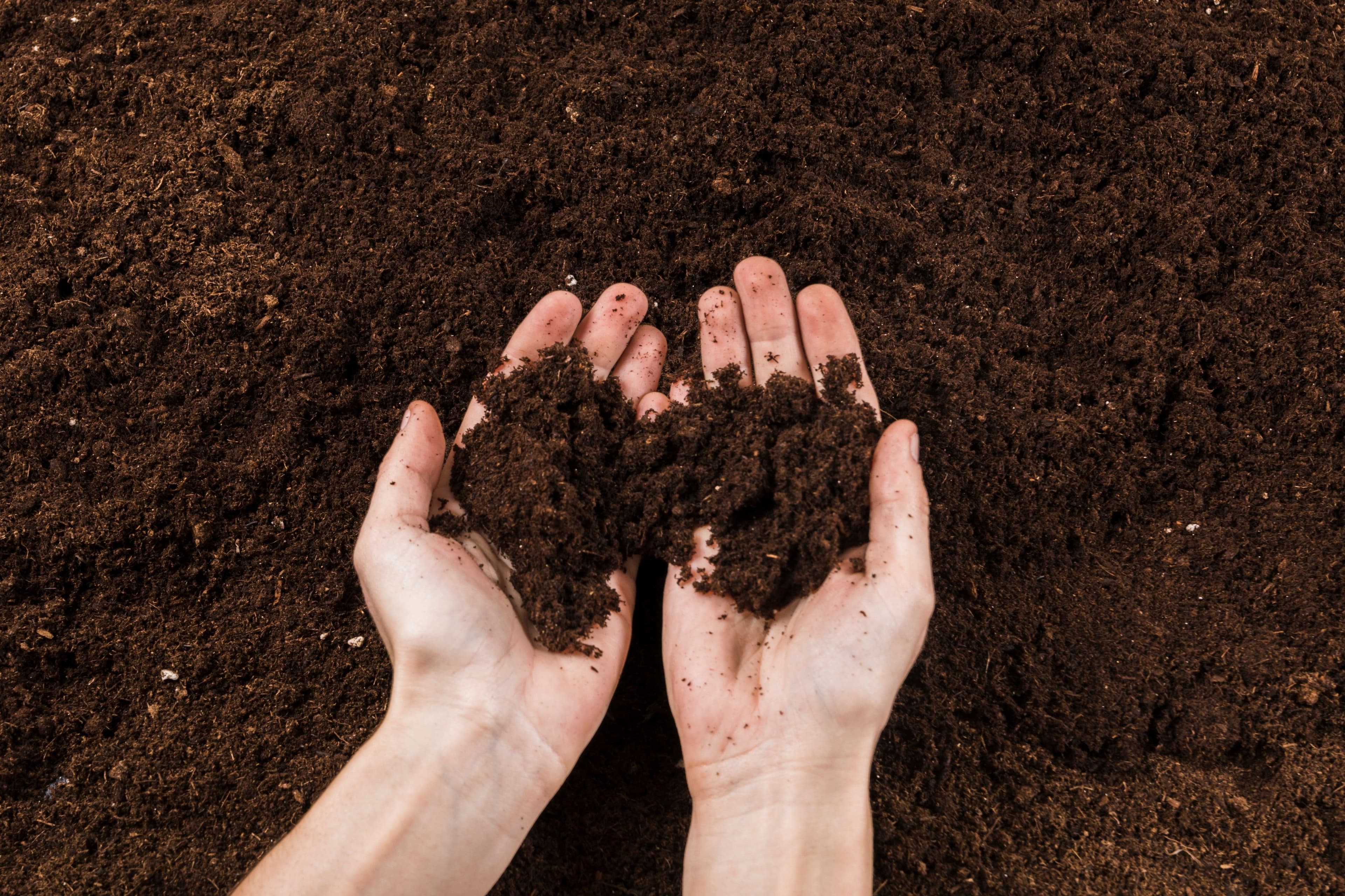 https://storage.googleapis.com/movimento_circular/strapi-v4/gardening_concept_with_female_hands_1_b51e61f18e/gardening_concept_with_female_hands_1_b51e61f18e.jpg
