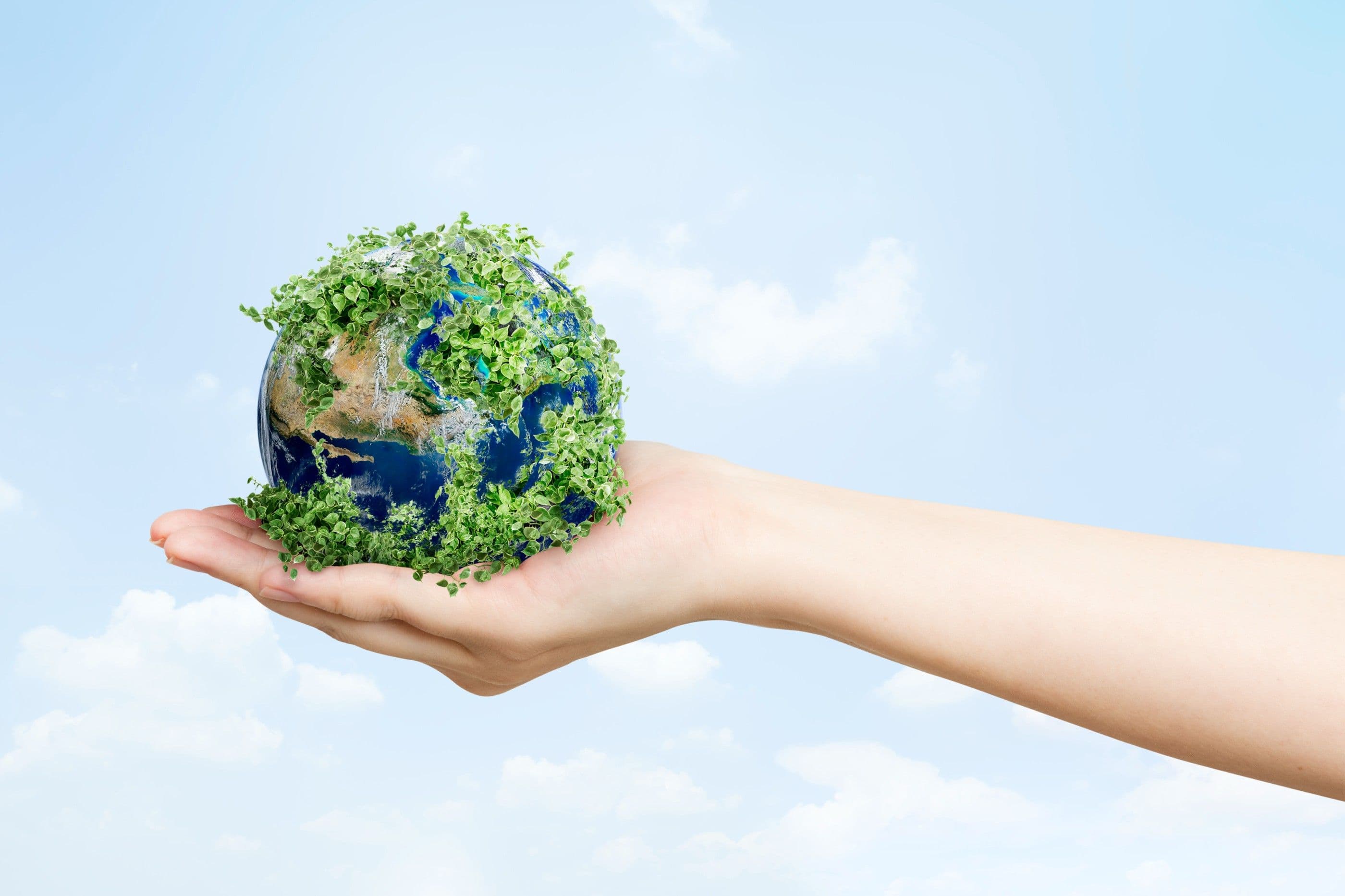https://storage.googleapis.com/movimento_circular/strapi-v4/mao_de_ambientalista_de_vida_sustentavel_segurando_terra_verde_1_13dd7ad854/mao_de_ambientalista_de_vida_sustentavel_segurando_terra_verde_1_13dd7ad854.jpg