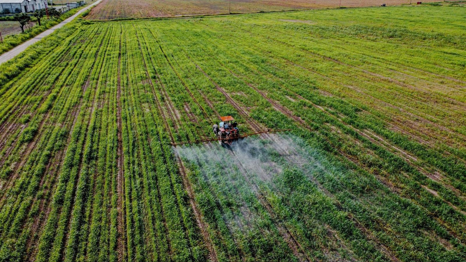 Aerial view of a tractor applying inputs to a green field, with its spray boom open over the rows