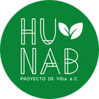 HUNAB